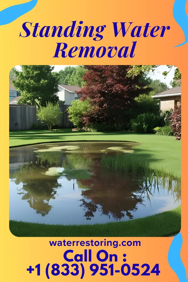 Standing Water Removal in North Bend, NE